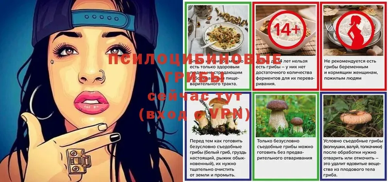 Галлюциногенные грибы мухоморы  Урюпинск 